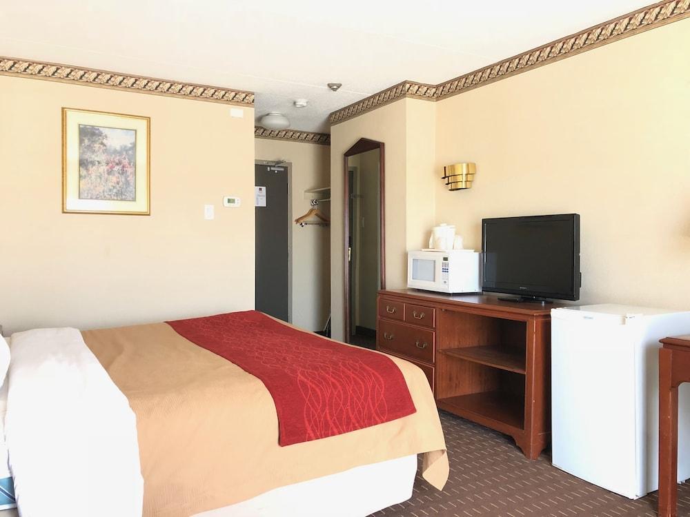 Comfort Inn Meadowvale ميسيسوجا المظهر الخارجي الصورة