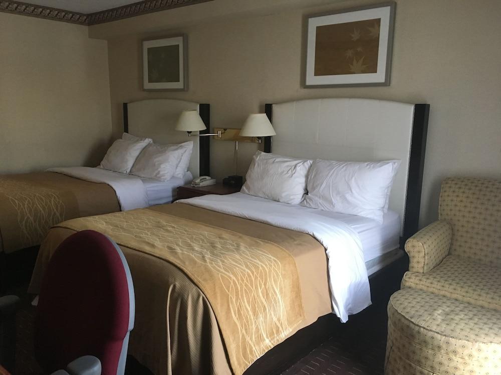 Comfort Inn Meadowvale ميسيسوجا المظهر الخارجي الصورة