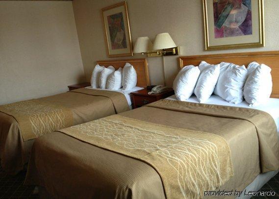Comfort Inn Meadowvale ميسيسوجا الغرفة الصورة