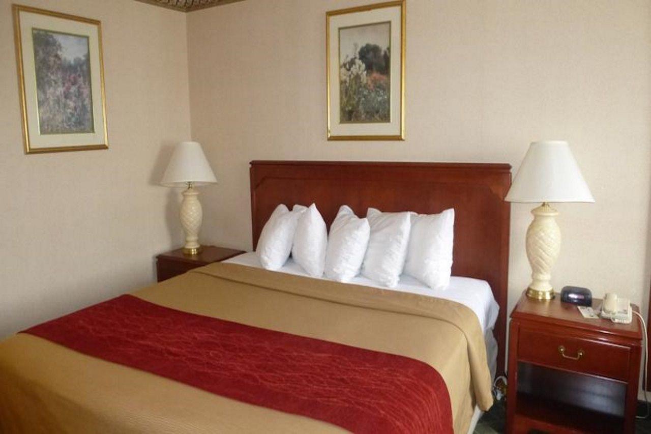 Comfort Inn Meadowvale ميسيسوجا المظهر الخارجي الصورة