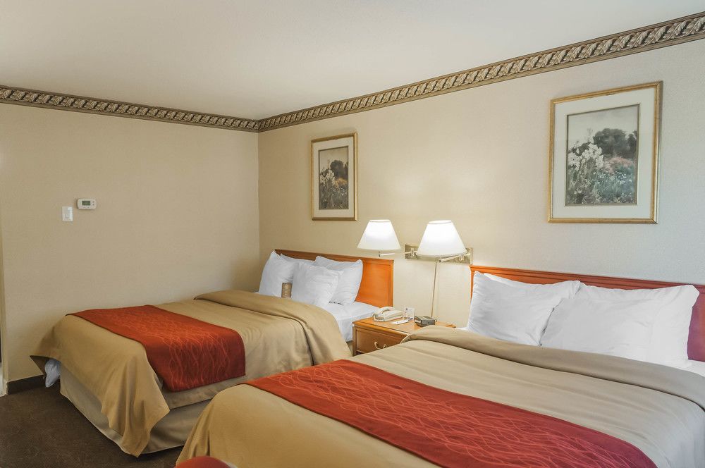 Comfort Inn Meadowvale ميسيسوجا المظهر الخارجي الصورة
