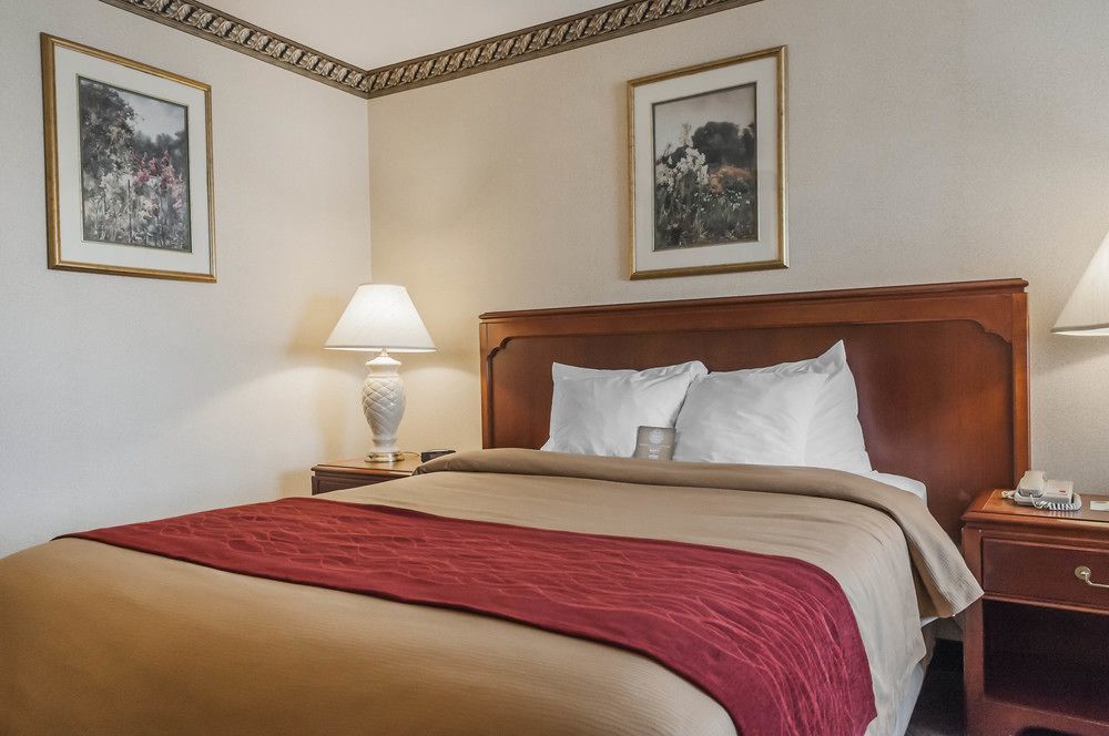 Comfort Inn Meadowvale ميسيسوجا المظهر الخارجي الصورة