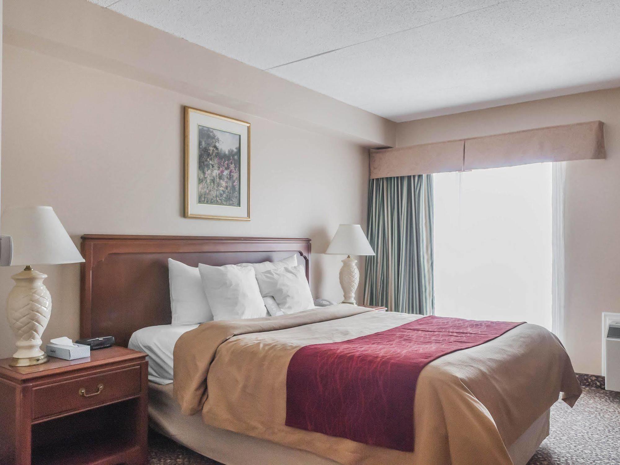 Comfort Inn Meadowvale ميسيسوجا المظهر الخارجي الصورة