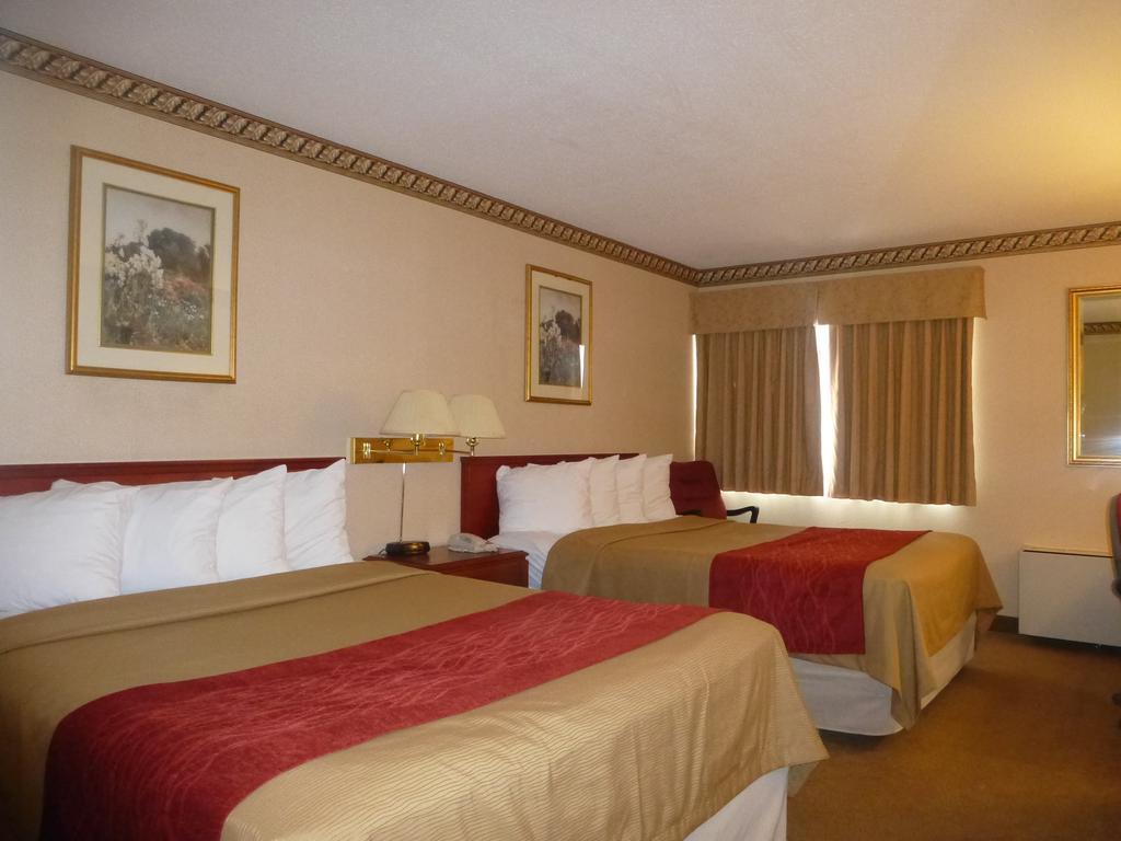 Comfort Inn Meadowvale ميسيسوجا الغرفة الصورة